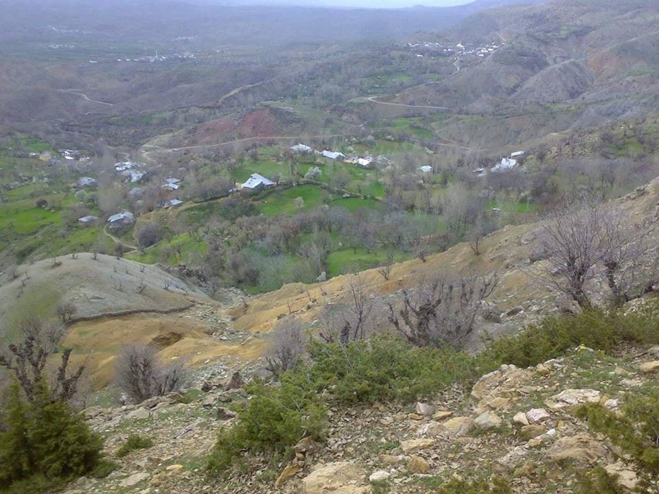 Arıca Bozçavuş Köyü 4