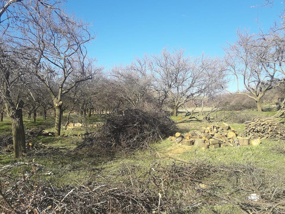 Baskil Akdemir Köyü Resimleri 1