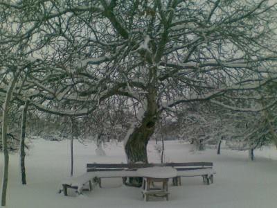 Baskil Akdemir Köyü Resimleri 3