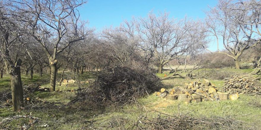 Baskil Akdemir Köyü Resimleri