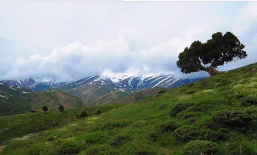 Afşin Türkçayırı Köyü Resimleri 10