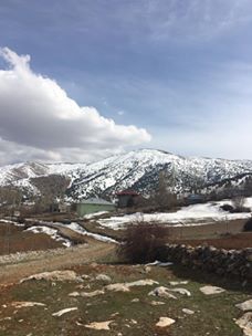 Afşin Türkçayırı Köyü Resimleri 11