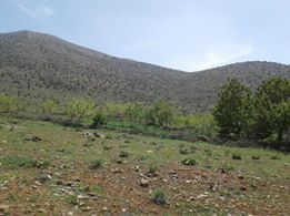 Afşin Türkçayırı Köyü Resimleri 5