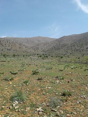 Afşin Türkçayırı Köyü Resimleri 6