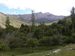 Afşin Türksevin Köyü Resimleri 1