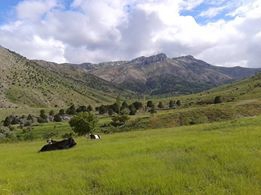 Afşin Türksevin Köyü Resimleri 11