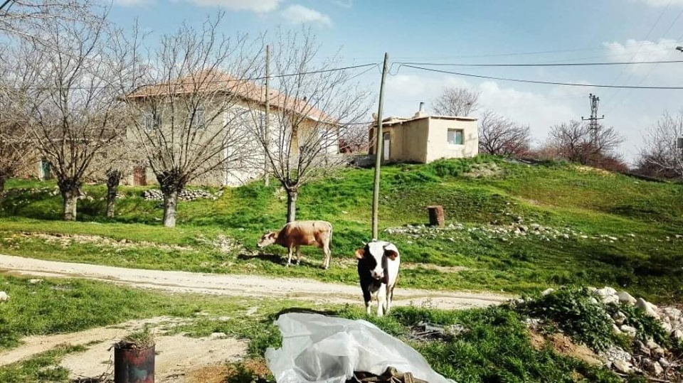 Baskil Akuşağı Köyü Resimleri 2