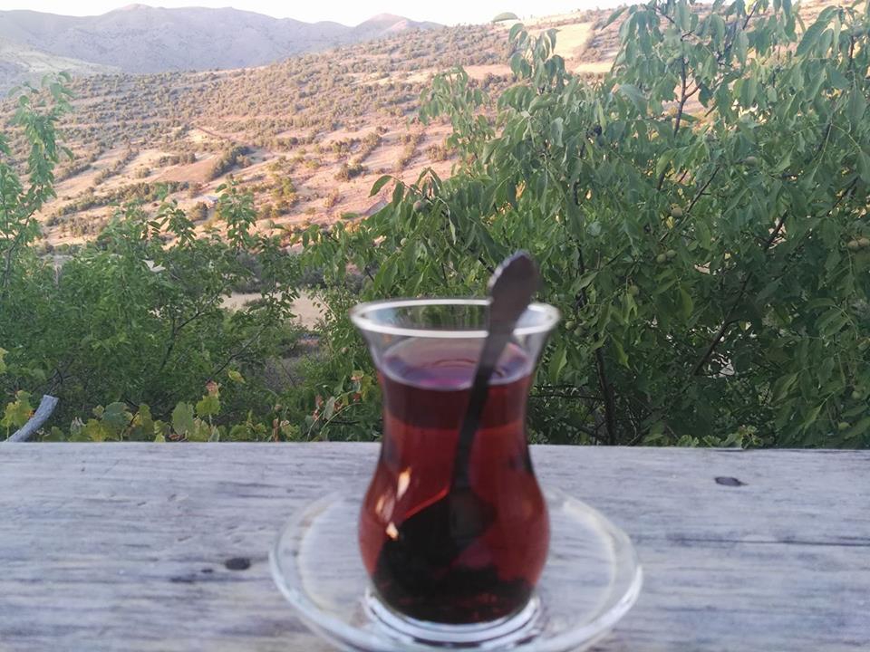 Baskil Aladikme Köyü Resimleri 2