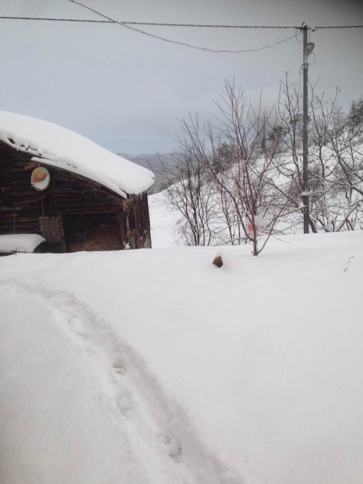 İnebolu Beyler Köyü Resimleri 4