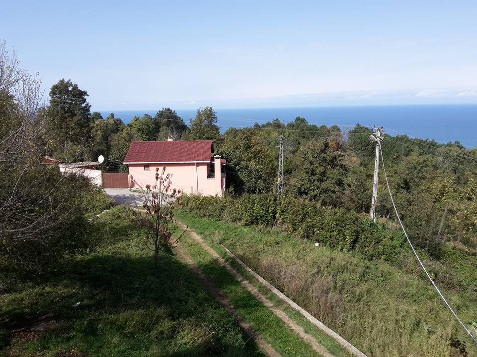 İnebolu Çamlıca Köyü Resimleri 3