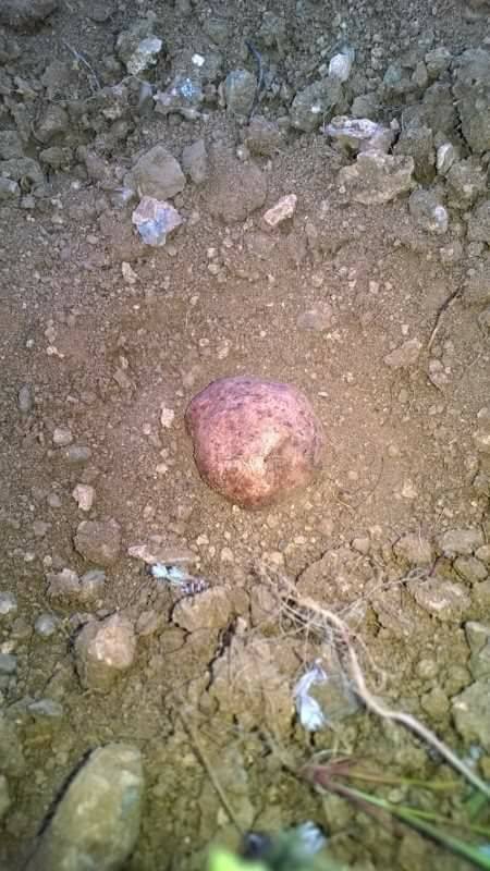 Baskil Alangören Köyü Resimleri 2