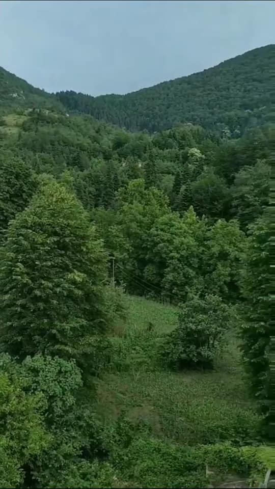 İnebolu Çaydüzü Köyü Resimleri 3