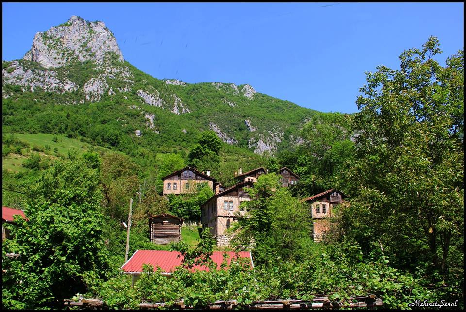 İnebolu Çaydüzü Köyü Resimleri 6