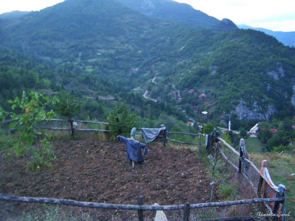 İnebolu Çaydüzü Köyü Resimleri 7