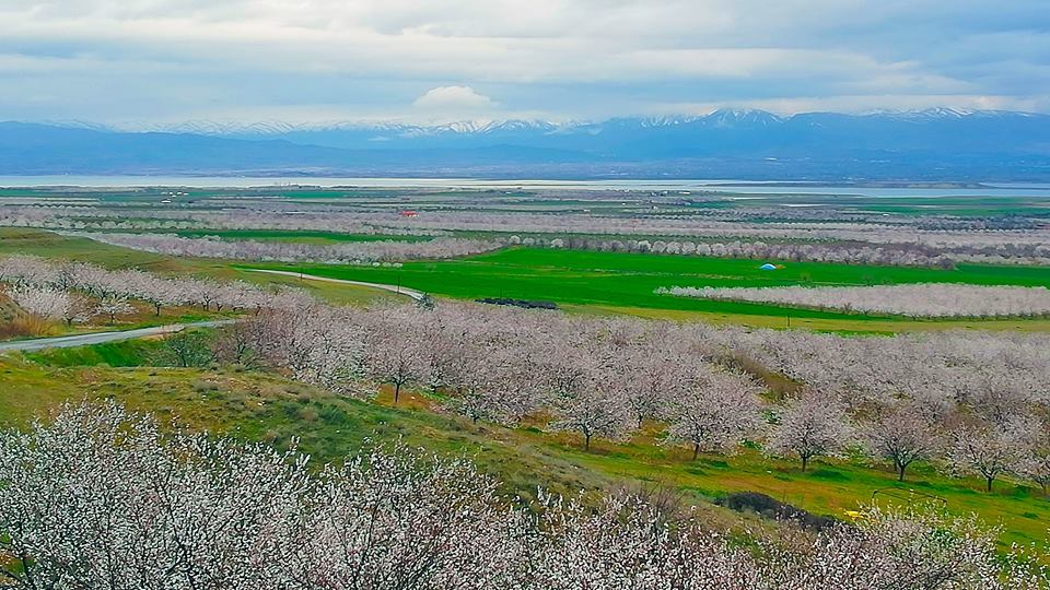 Baskil Altunuşağı Köyü Resimleri 2