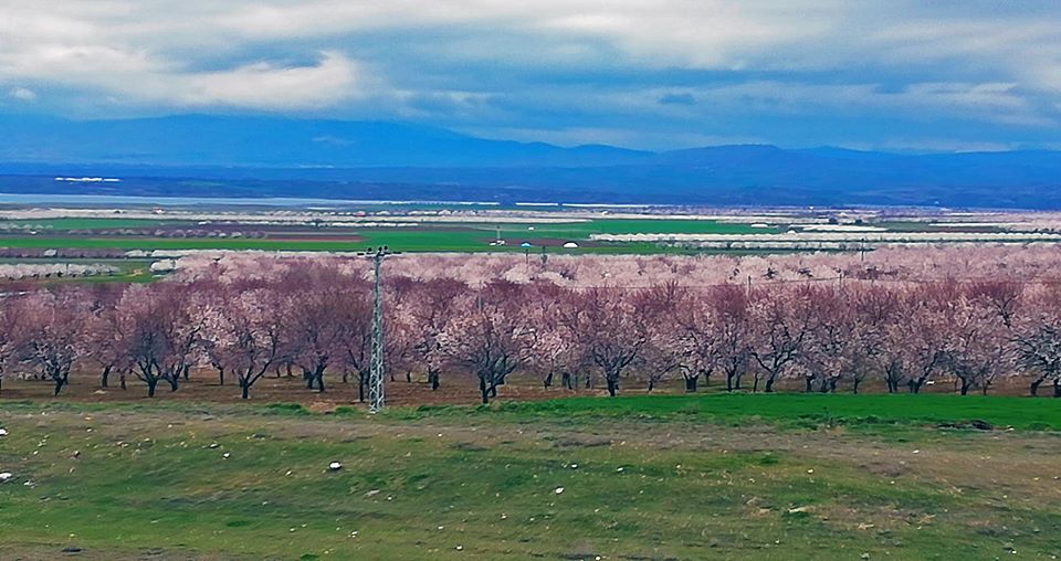 Baskil Altunuşağı Köyü Resimleri 4