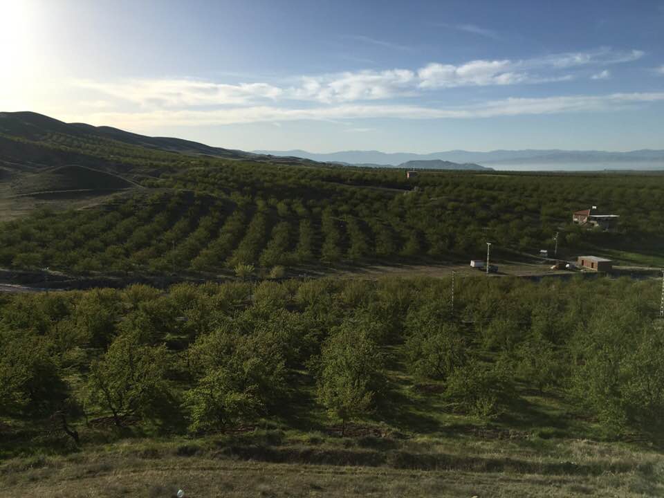 Baskil Altunuşağı Köyü Resimleri 5