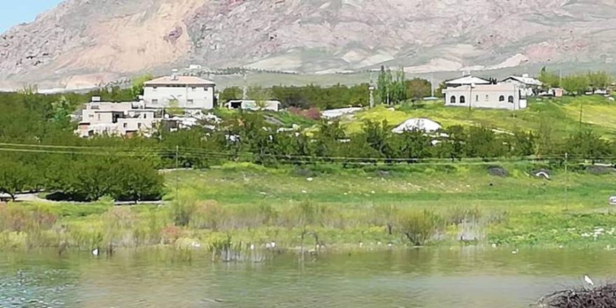 Baskil Altunuşağı Köyü Resimleri