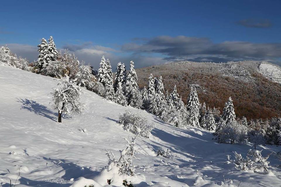 İnebolu Çiçekyazı Köyü Resimleri 10