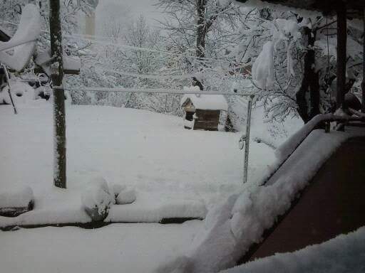 İnebolu Çiçekyazı Köyü Resimleri 7
