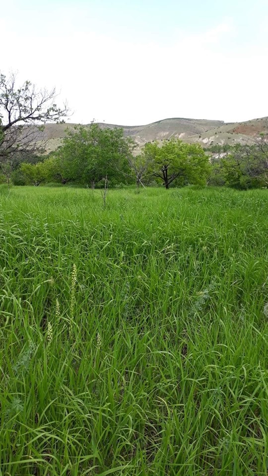 Baskil Aşağıkuluşağı Köyü Resimleri 1