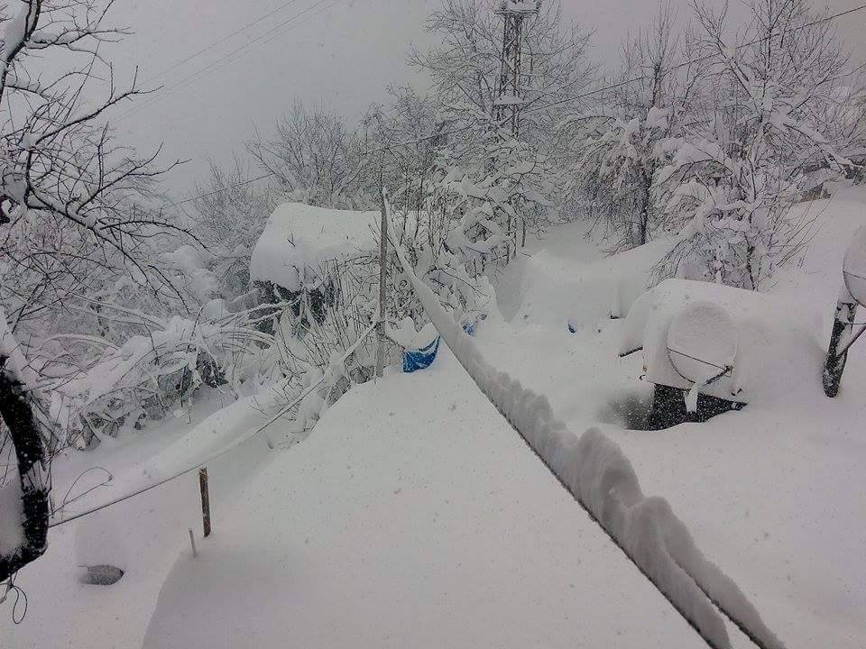 İnebolu Dibek Köyü Resimleri 2