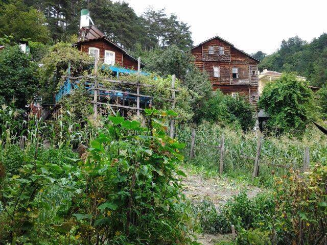 İnebolu Dibek Köyü Resimleri 4