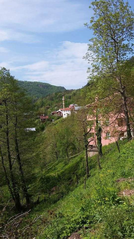 İnebolu Dibek Köyü Resimleri 6