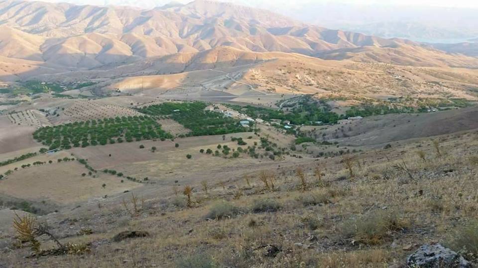 Baskil Beşbölük Köyü 3