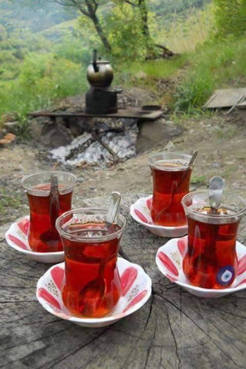 Adana Aladağ Posyağbasan Köyü Resimleri 6