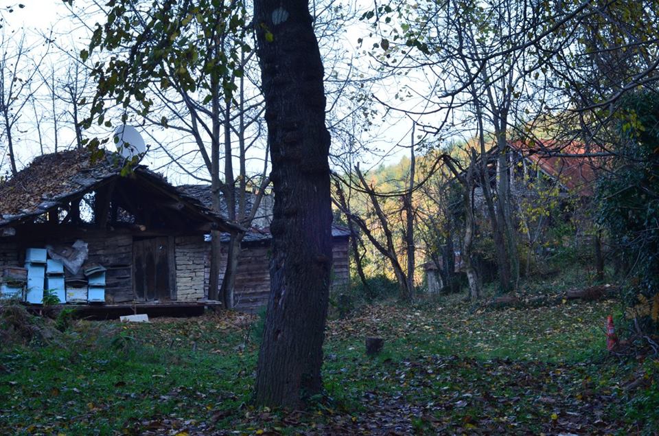 İnebolu Durupınar Köyü Resimleri 7