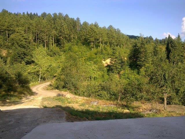 İnebolu Erenyolu Köyü Resimleri 5