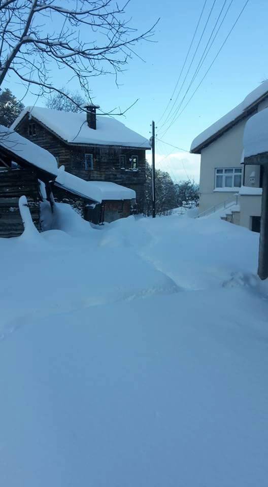 İnebolu Erkekarpa Köyü Resimleri 11
