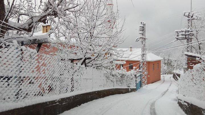 İnebolu Erkekarpa Köyü Resimleri 3