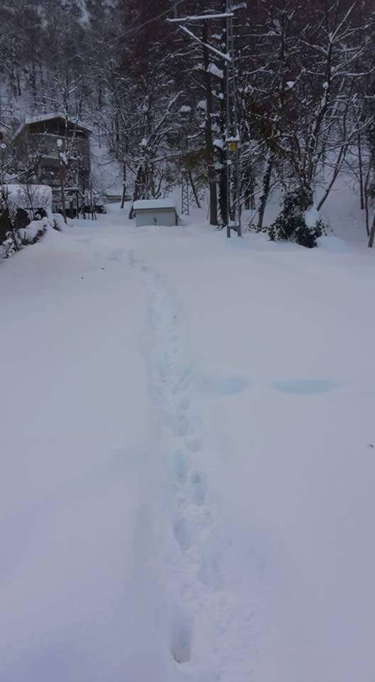 İnebolu Erkekarpa Köyü Resimleri 7