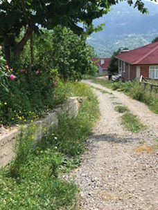 İnebolu Göçkün Köyü Resimleri 1