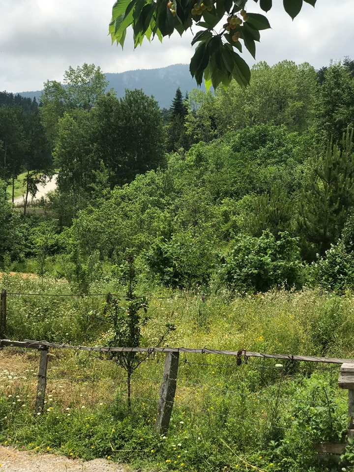 İnebolu Göçkün Köyü Resimleri 4