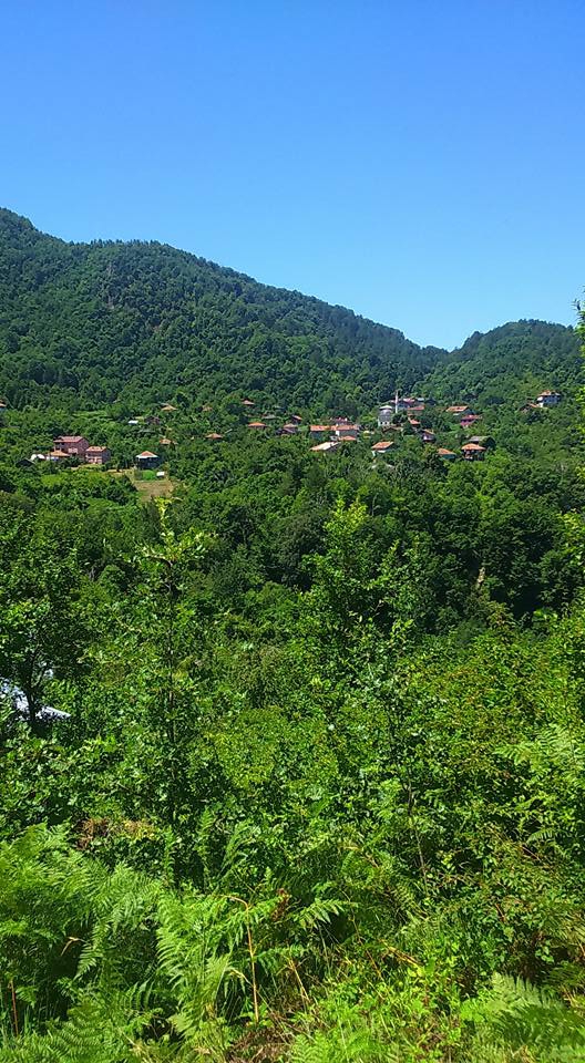 İnebolu Gökbel Köyü Resimleri 7