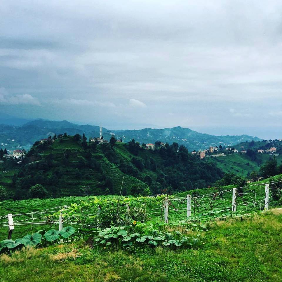 Of Gökçeoba Köyü Resimleri 10