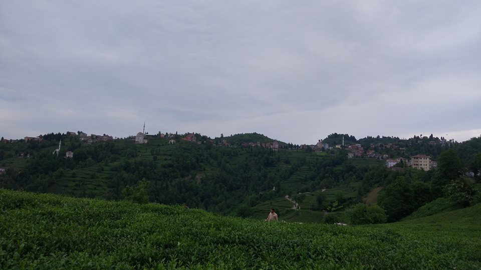 Of Gökçeoba Köyü Resimleri 11