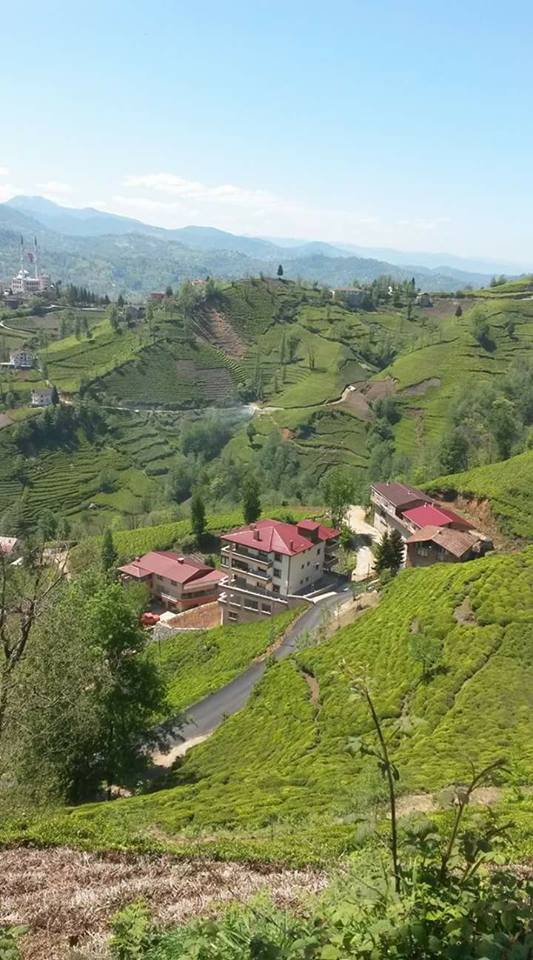 Of Gökçeoba Köyü Resimleri 12