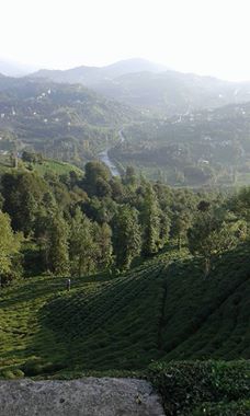 Of Gökçeoba Köyü Resimleri 3