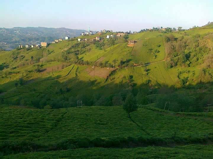 Of Gökçeoba Köyü Resimleri 5