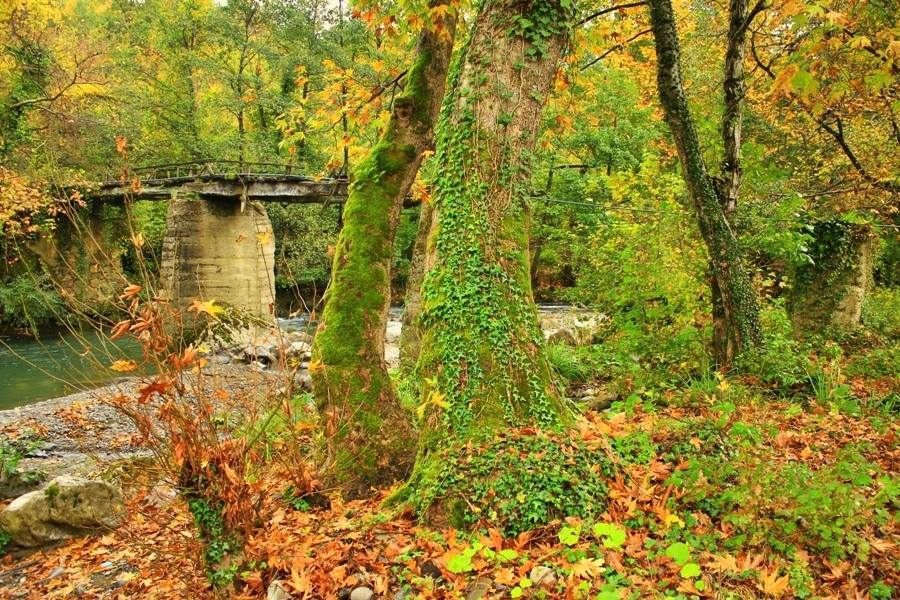 İnebolu Güneşli Köyü Resimleri 7