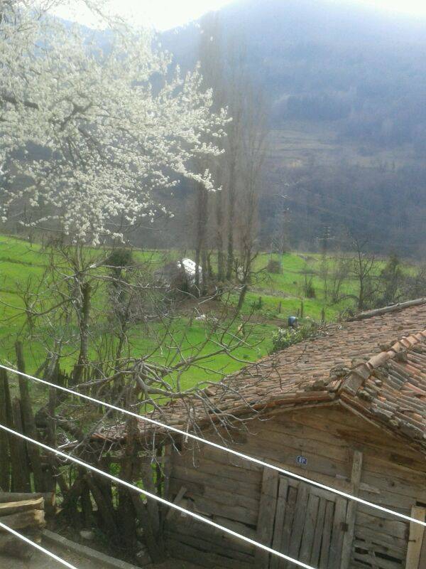 İnebolu Hörmetli Köyü Resimleri 2