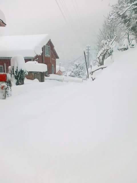 İnebolu İkizler Köyü Resimleri 11