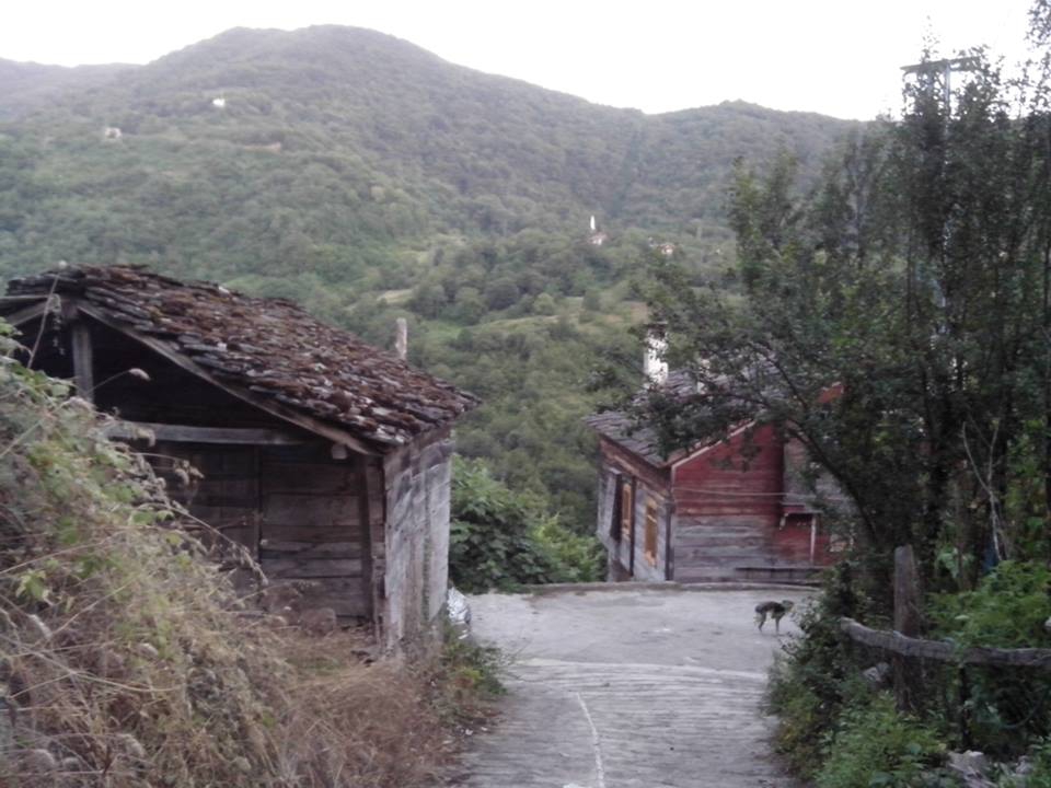 İnebolu İkizler Köyü Resimleri 2