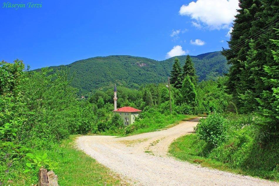 İnebolu Kayaelması Köyü Resimleri 1