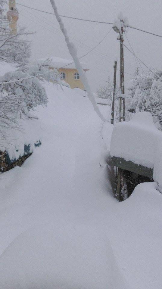 İnebolu Korupınar Köyü Resimleri 3