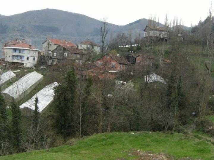 İnebolu Köroğlu Köyü Resimleri 8